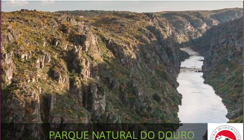 parque natural do douro internacional